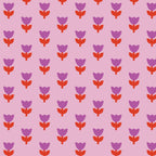 COMING SOON! -A Tulip Story-Tulip Tango-Pink-Cloud9-229297