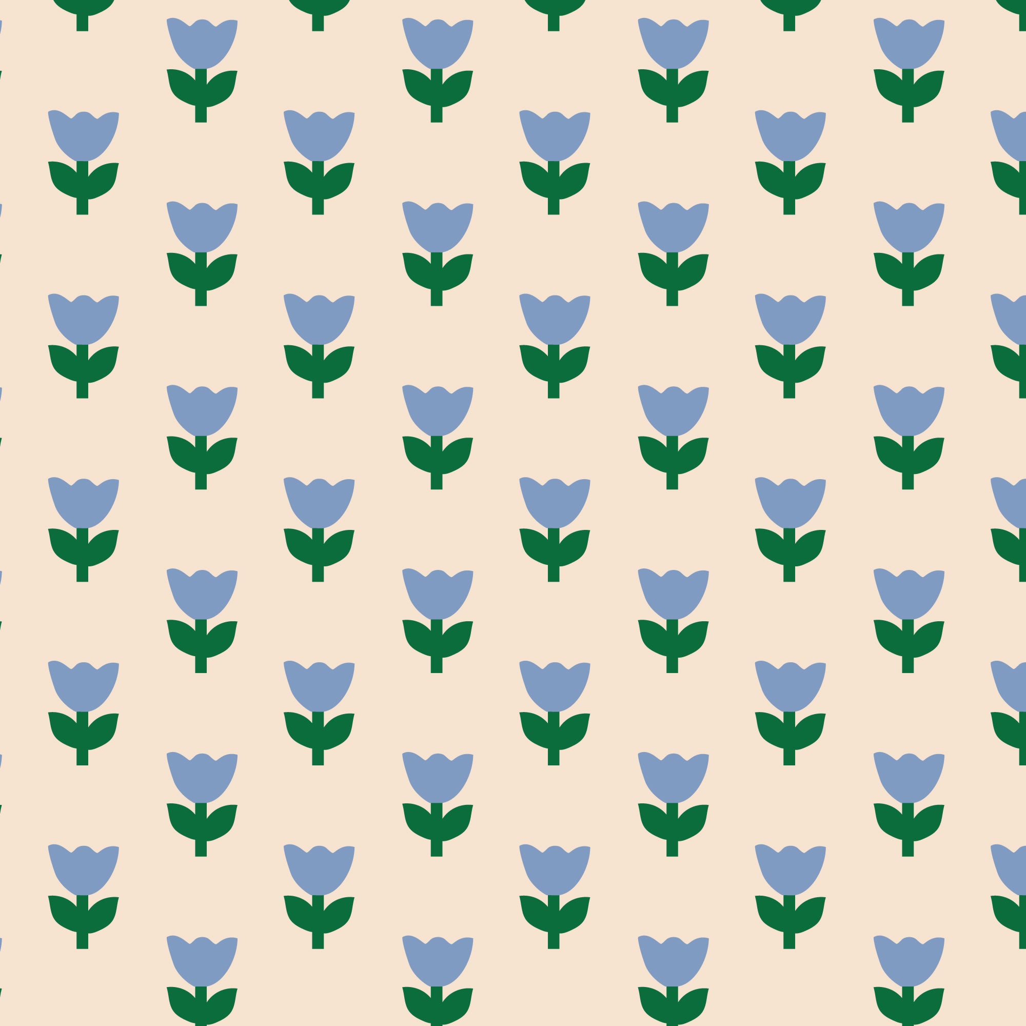 COMING SOON! -A Tulip Story-Tulip Tango-Blue-Cloud9-229298