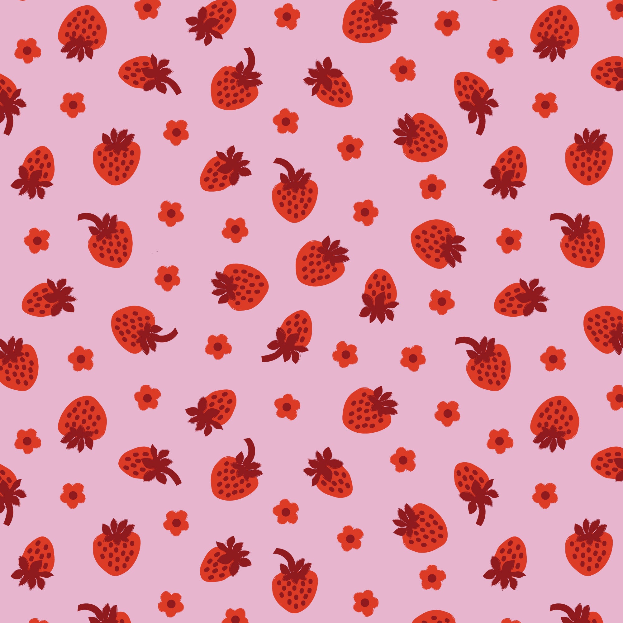COMING SOON! -A Tulip Story-Strawberry Fraise-Pink-Cream-Cloud9-229304