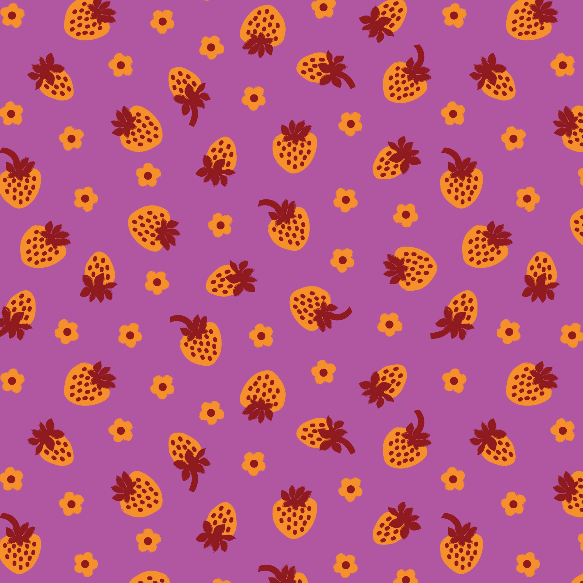COMING SOON! -A Tulip Story-Strawberry Fraise-Purple-Cream-Cloud9-229305