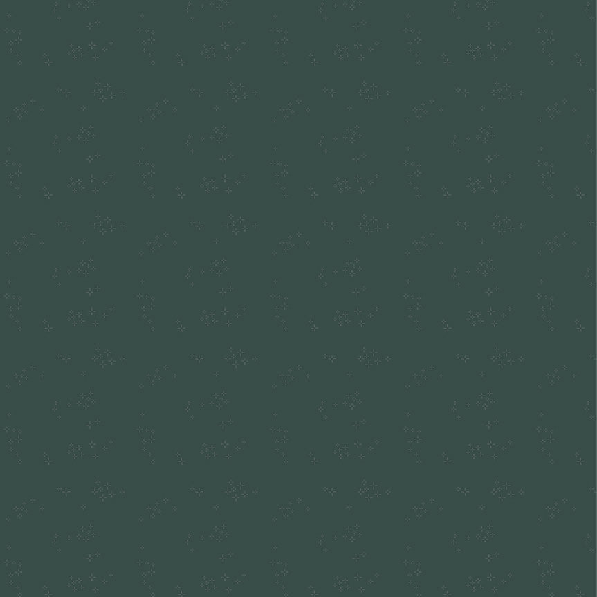 Nature Study 2.0 - Blue Agave-54686-4