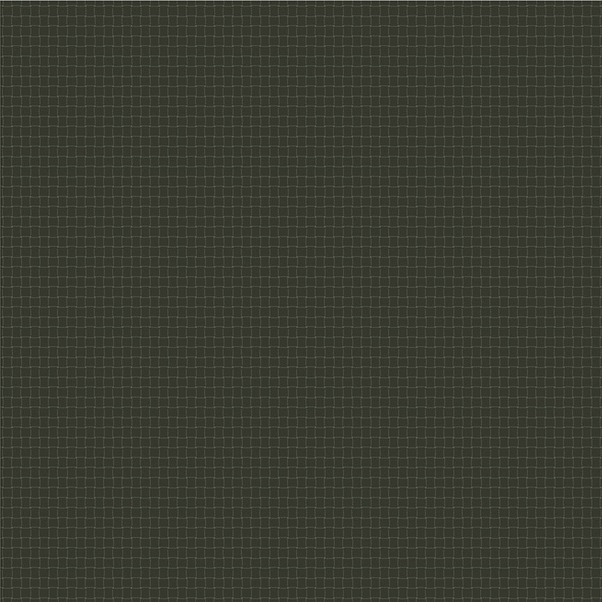 Nature Study 2.0 - Black Walnut-54689-35