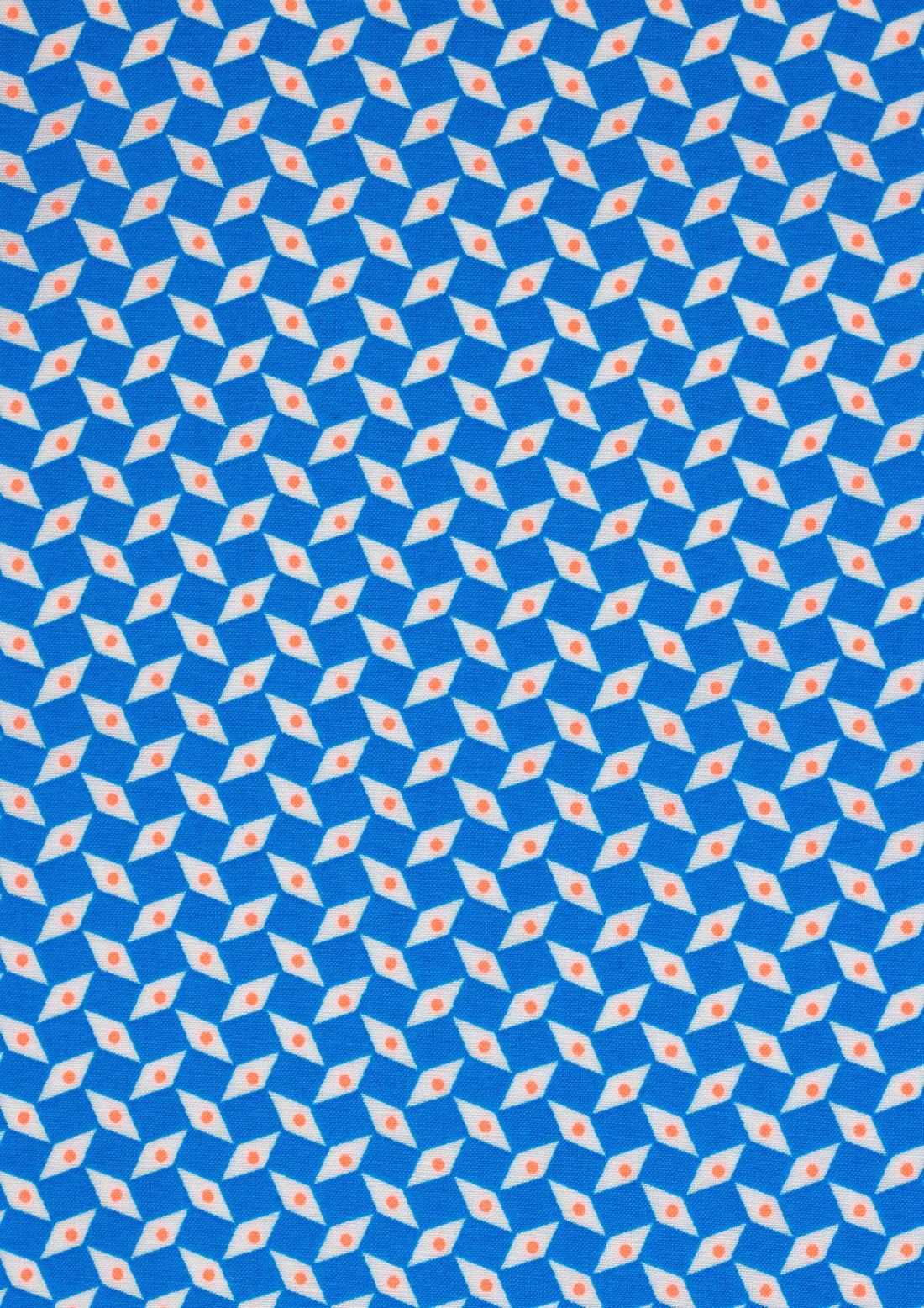 COMING SOON! - Petit Pan-Coupon- Blue Pepin -PP104 Coupon