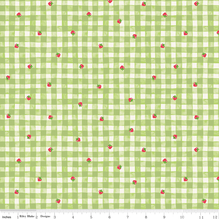 NOV 2026 - PRE-ORDER NOW! - The World of Strawberry Shortcake™-Gingham Green-Riley Blake Designs-C18562 Green