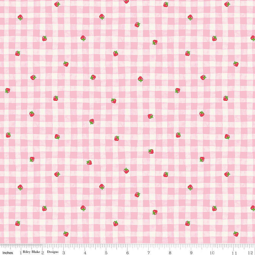 NOV 2026 - PRE-ORDER NOW! - The World of Strawberry Shortcake™-Gingham Pink-Riley Blake Designs-C18562 Pink