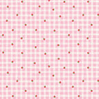 NOV 2026 - PRE-ORDER NOW! - The World of Strawberry Shortcake™-Gingham Pink-Riley Blake Designs-C18562 Pink