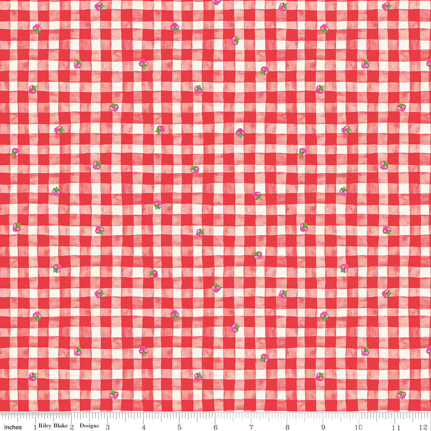 NOV 2026 - PRE-ORDER NOW! - The World of Strawberry Shortcake™-Gingham Red-Riley Blake Designs-C18562 Red