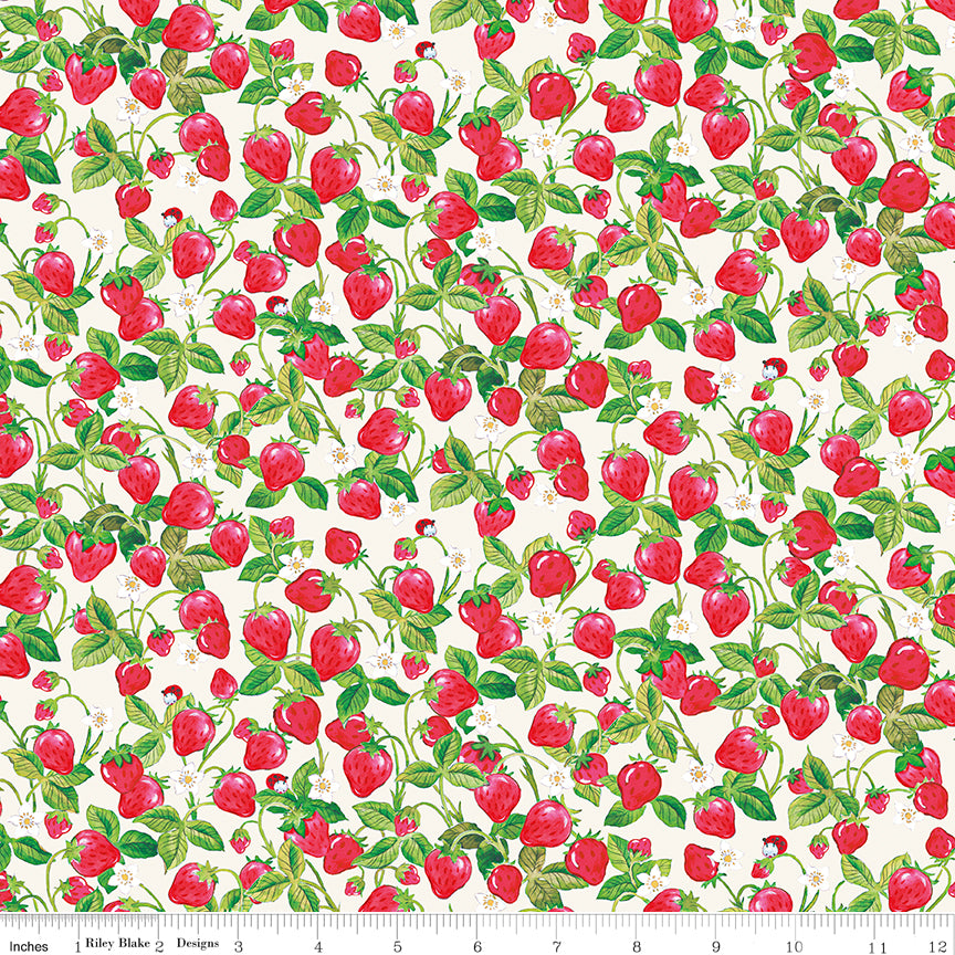 NOV 2026 - PRE-ORDER NOW! - The World of Strawberry Shortcake™-Strawberries Cream-Riley Blake Designs-C18564 Cream