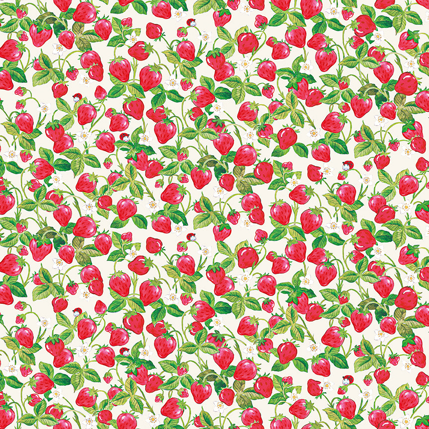 NOV 2026 - PRE-ORDER NOW! - The World of Strawberry Shortcake™-Strawberries Cream-Riley Blake Designs-C18564 Cream
