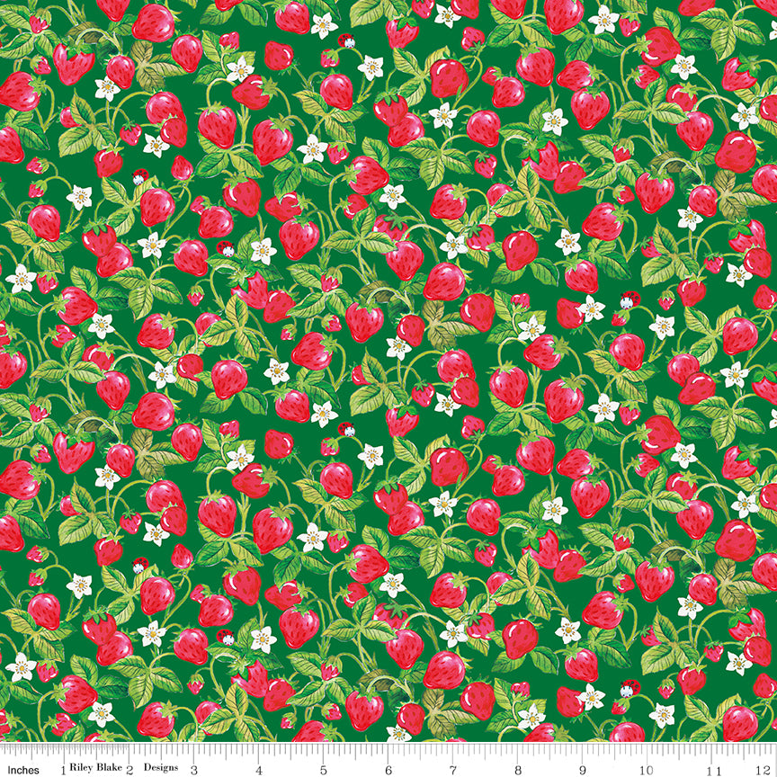 NOV 2026 - PRE-ORDER NOW! - The World of Strawberry Shortcake™-Strawberries Green-Riley Blake Designs-C18564 Green
