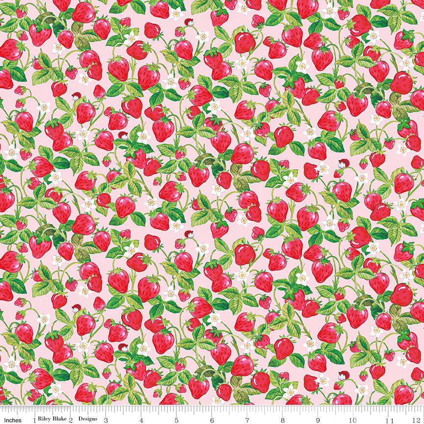 NOV 2026 - PRE-ORDER NOW! - The World of Strawberry Shortcake™-Strawberries Pink-Riley Blake Designs-C18564 Pink