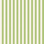 NOV 2026 - PRE-ORDER NOW! - The World of Strawberry Shortcake™-Stripes Green-Riley Blake Designs-C18565 Green