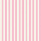 NOV 2026 - PRE-ORDER NOW! - The World of Strawberry Shortcake™-Stripes Pink-Riley Blake Designs-C18565 Pink