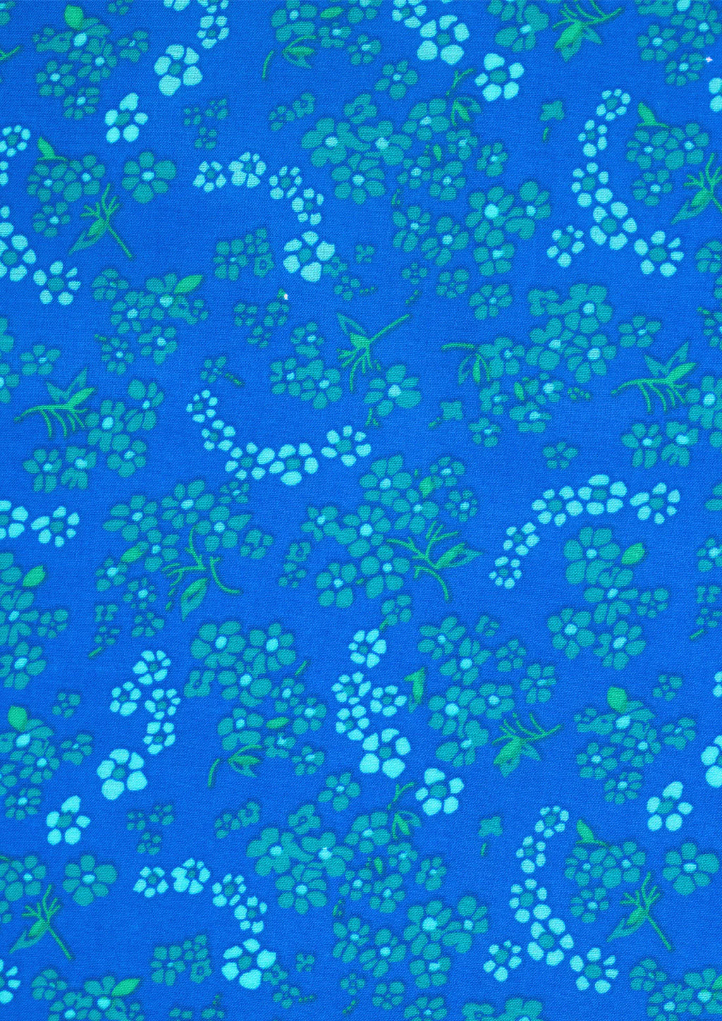 COMING SOON! - Petit Pan-Coupon- Hanako Blue -PP102 Coupon