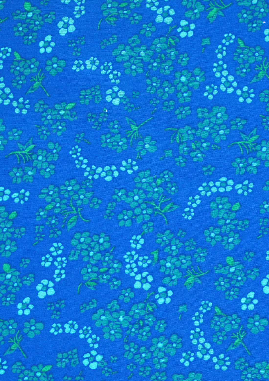 COMING SOON! - Petit Pan-Coupon- Hanako Blue -PP102 Coupon