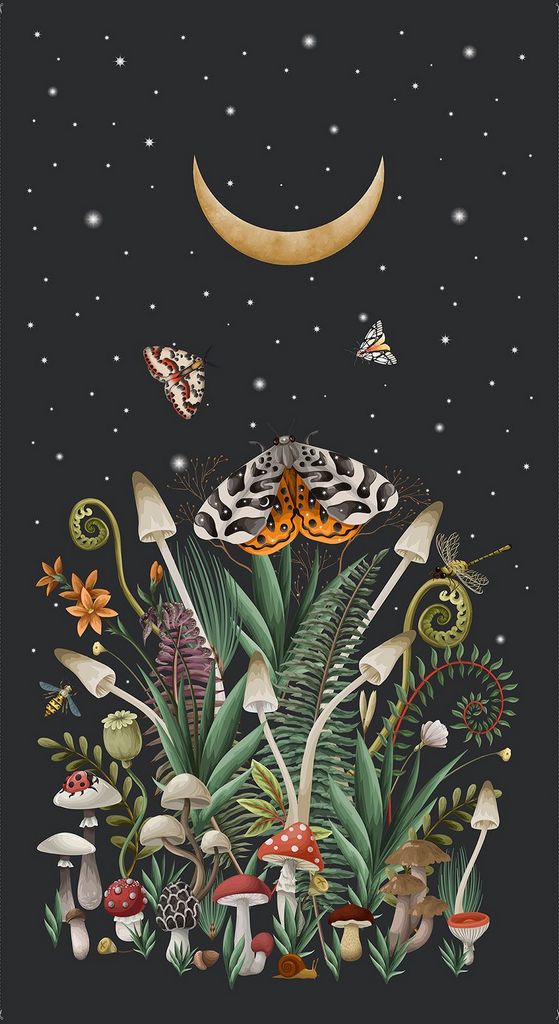 Moth To A Flame -24" Wide Panel-Dear Stella-PSTELLA-D3773 MULTI