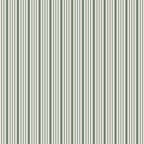Spruce -Timeless Ticking Sage-AGF-SPR-42612