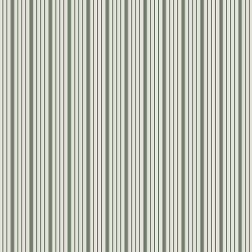 Spruce -Timeless Ticking Sage-AGF-SPR-42612