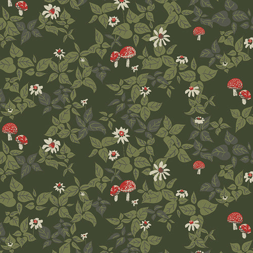Spruce -Woodland Walk-AGF-SPR-42615