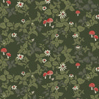 Spruce -Woodland Walk-AGF-SPR-42615