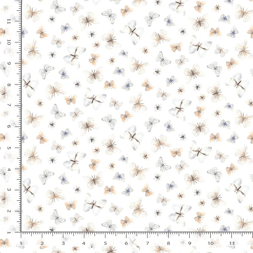 AUG 2026 - COMING SOON! -ABC's of Love -Flutter-White-Dear Stella-DNS3663 White