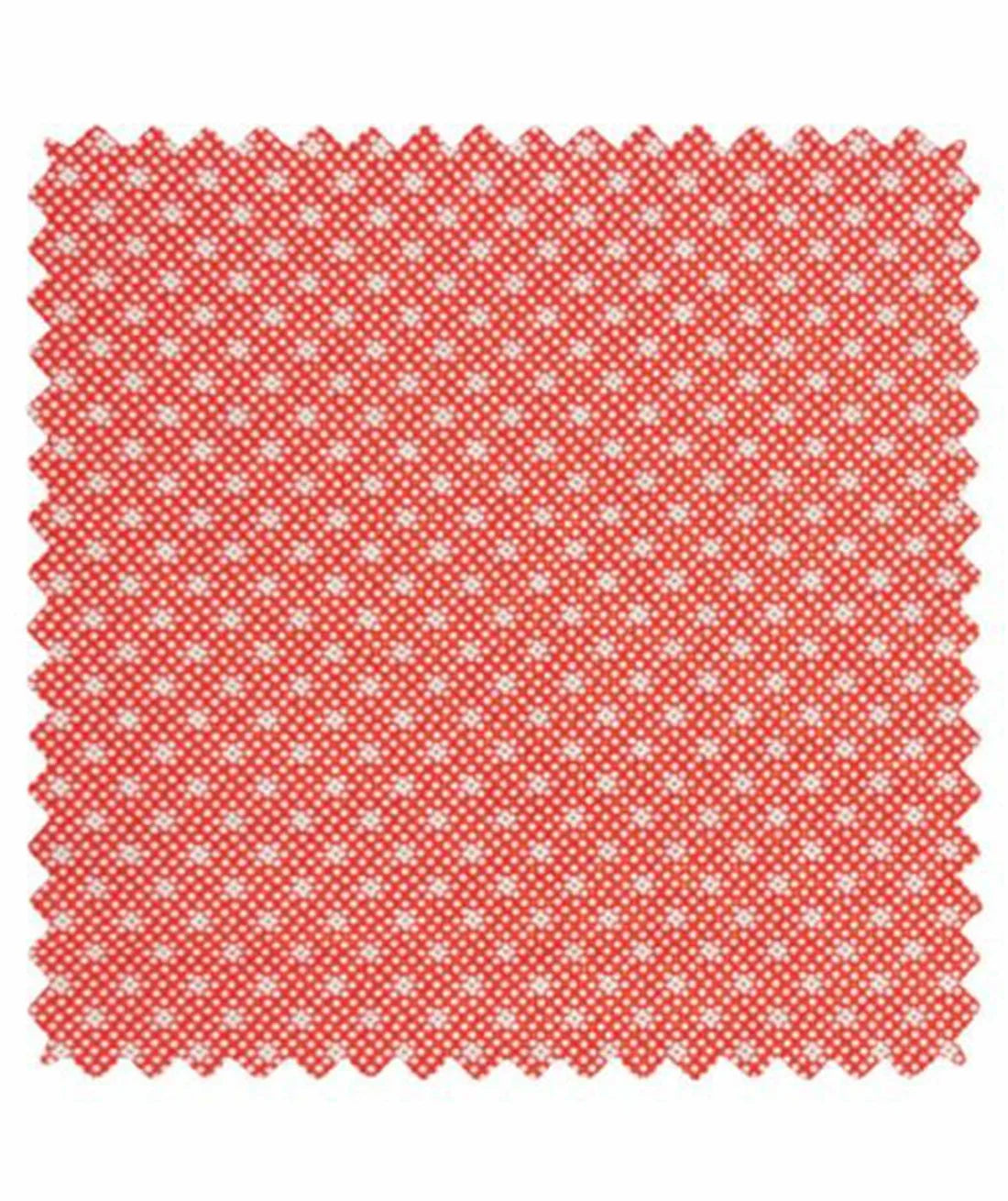 Petit Pan-Coupon-Yamila Tangerine -PP108 Coupon